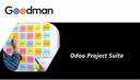 Implementación Odoo Project Suite