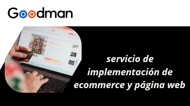 servicio de implementación de ecommerce y página web   
